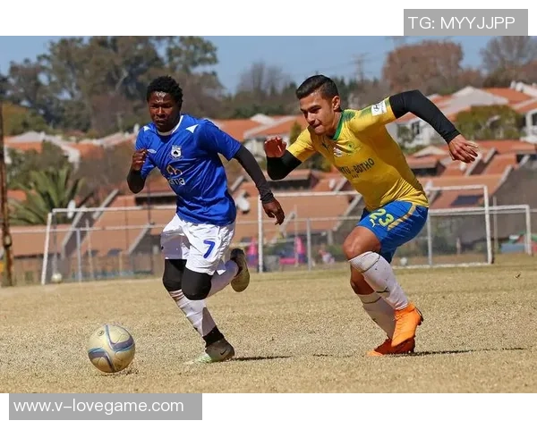 龙吼足球的魅力探索与战术分析之旅